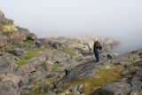 Image of landscape