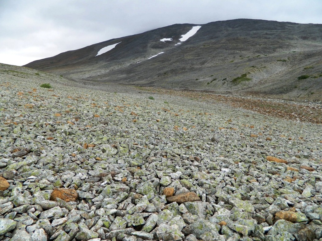 Изшор, image of landscape/habitat.