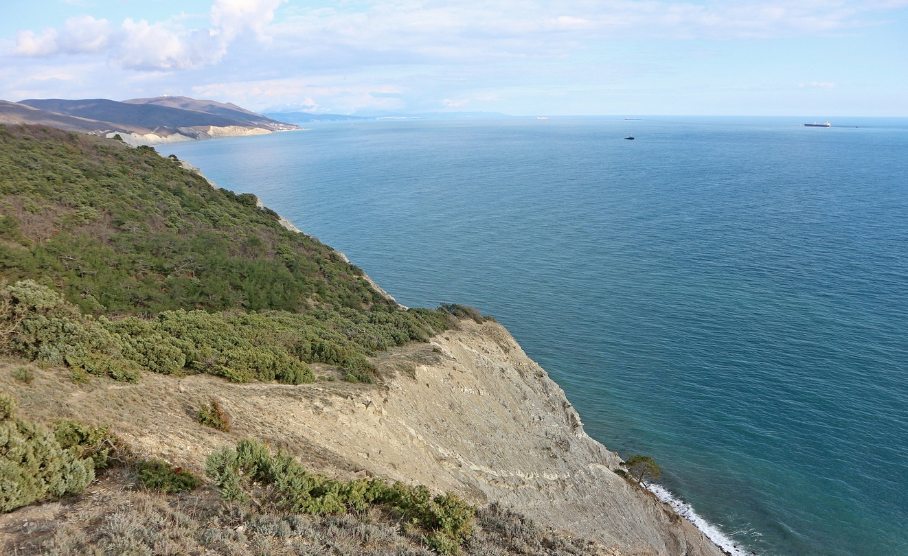 Южная Озерейка, image of landscape/habitat.