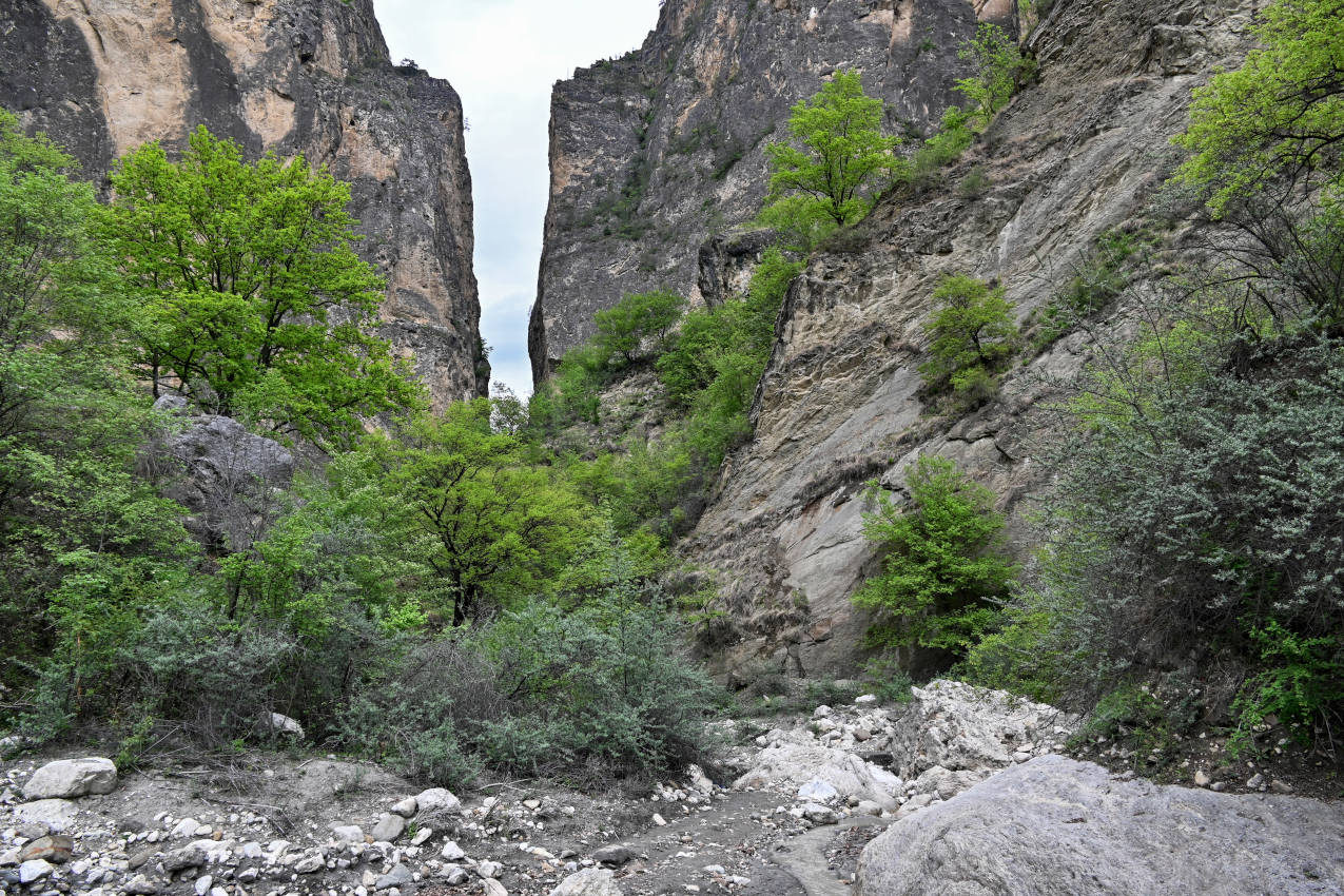 Карадахская теснина, image of landscape/habitat.