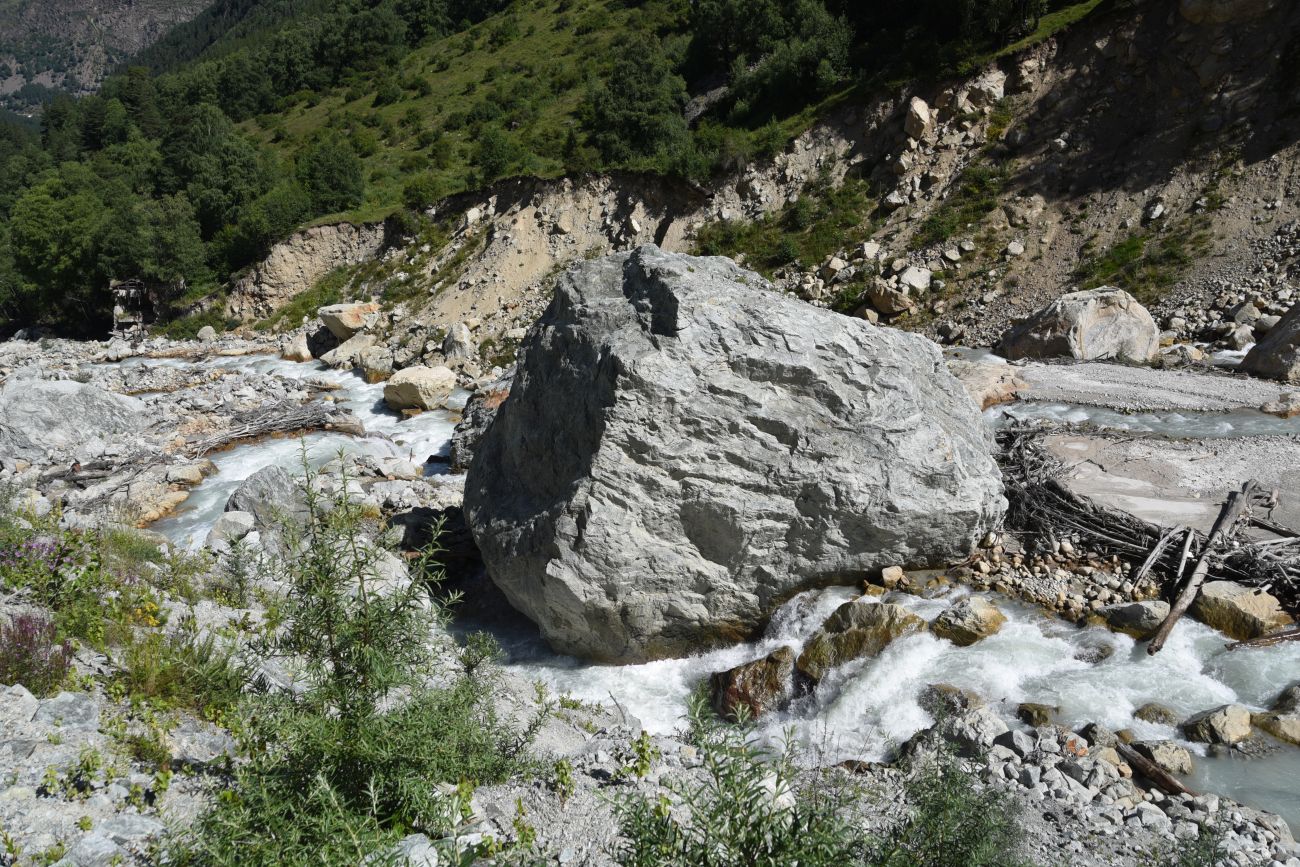 Нижнее течение Адылсу, image of landscape/habitat.