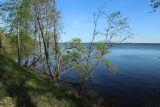Image of landscape