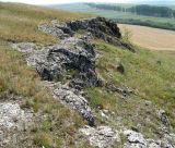 Image of landscape