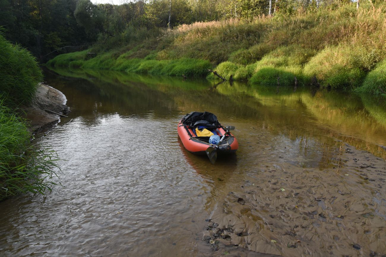 Устье ручья Черебеть, image of landscape/habitat.