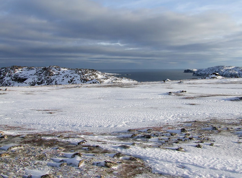 Долина ручья Хохрячий, image of landscape/habitat.