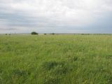 Image of landscape