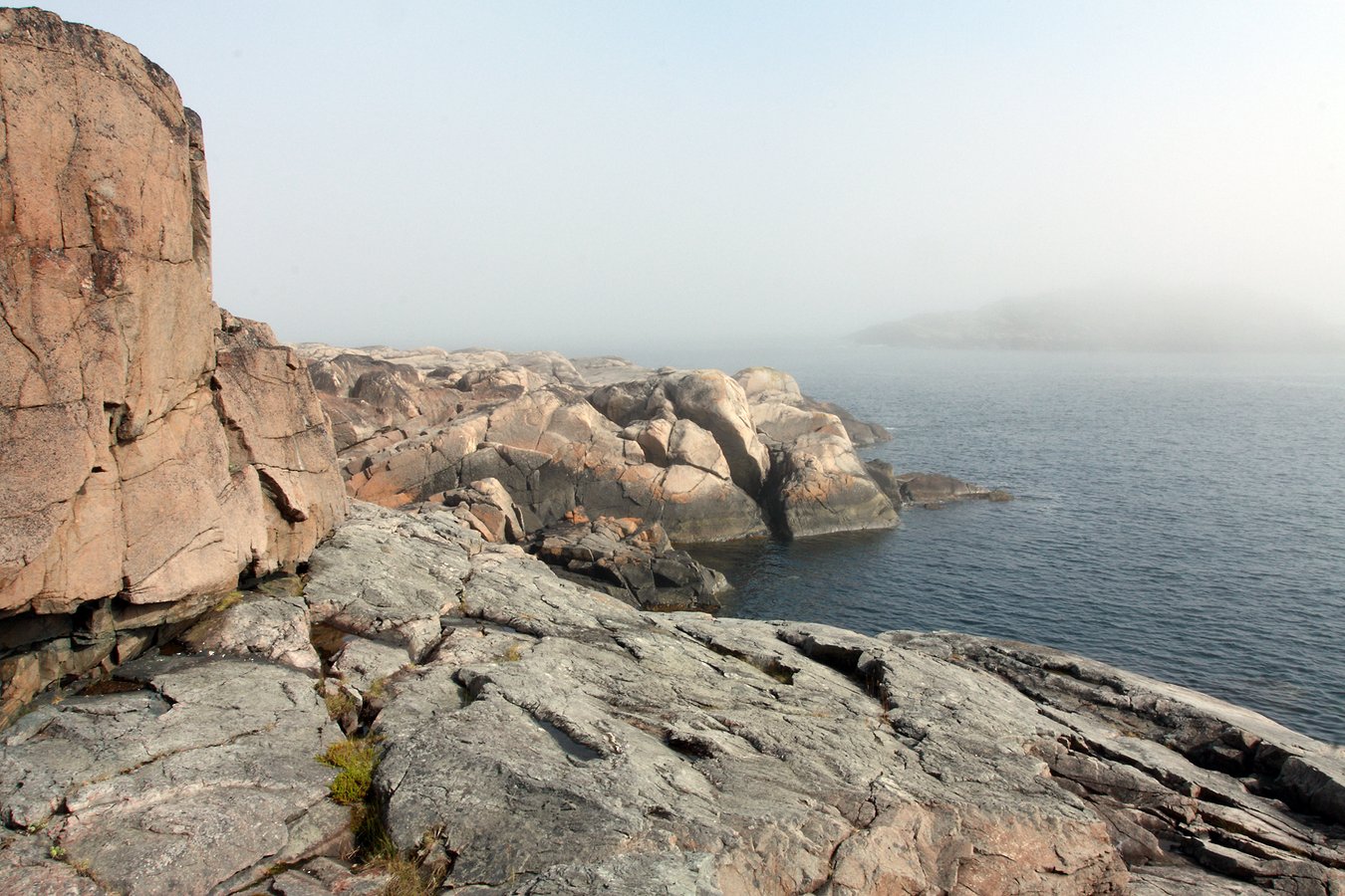 Дальние Зеленцы, image of landscape/habitat.