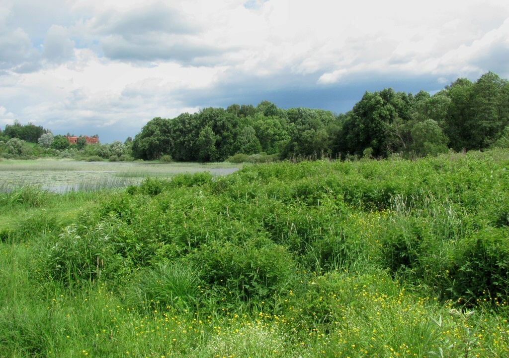 Каспля, image of landscape/habitat.