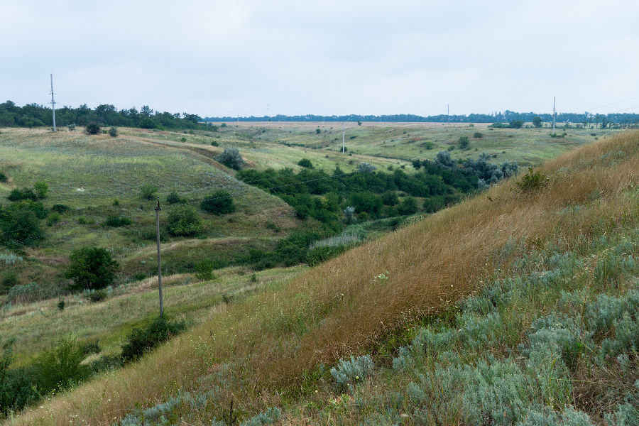 Урочище Каменная Балка, image of landscape/habitat.