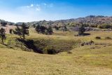 Ай-Петринская яйла, image of landscape/habitat.