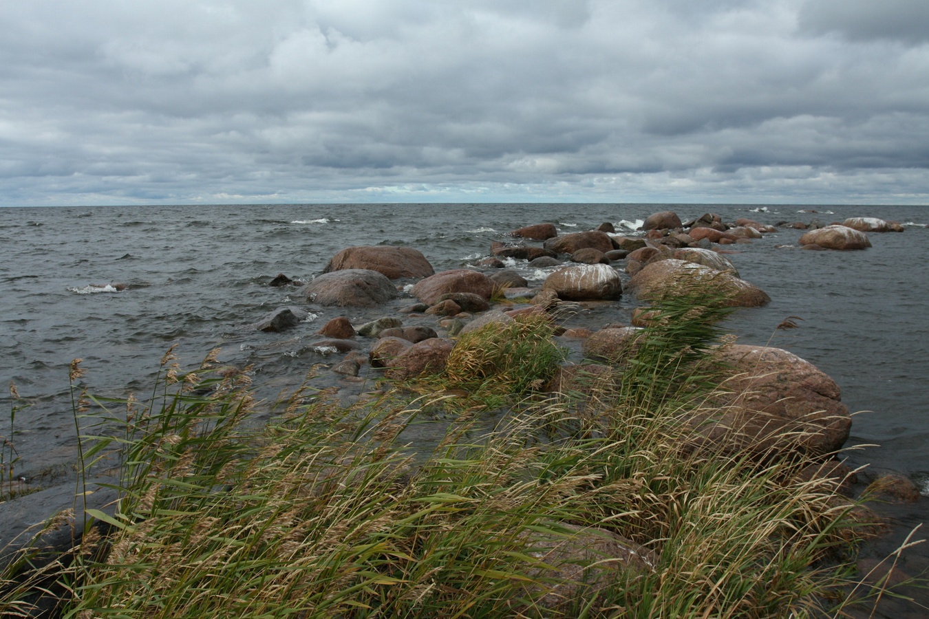 Мыс Дубовский, image of landscape/habitat.