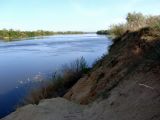 Заказник "Нижне-Кундрюченский", image of landscape/habitat.