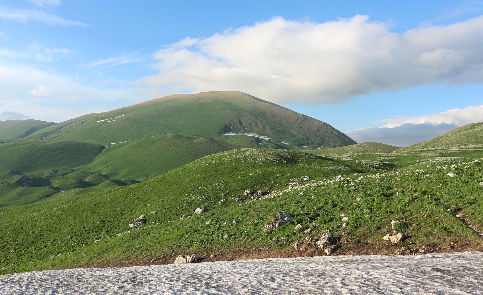 Верхняя Цица, image of landscape/habitat.