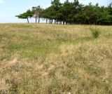 Image of landscape
