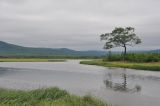 Image of landscape