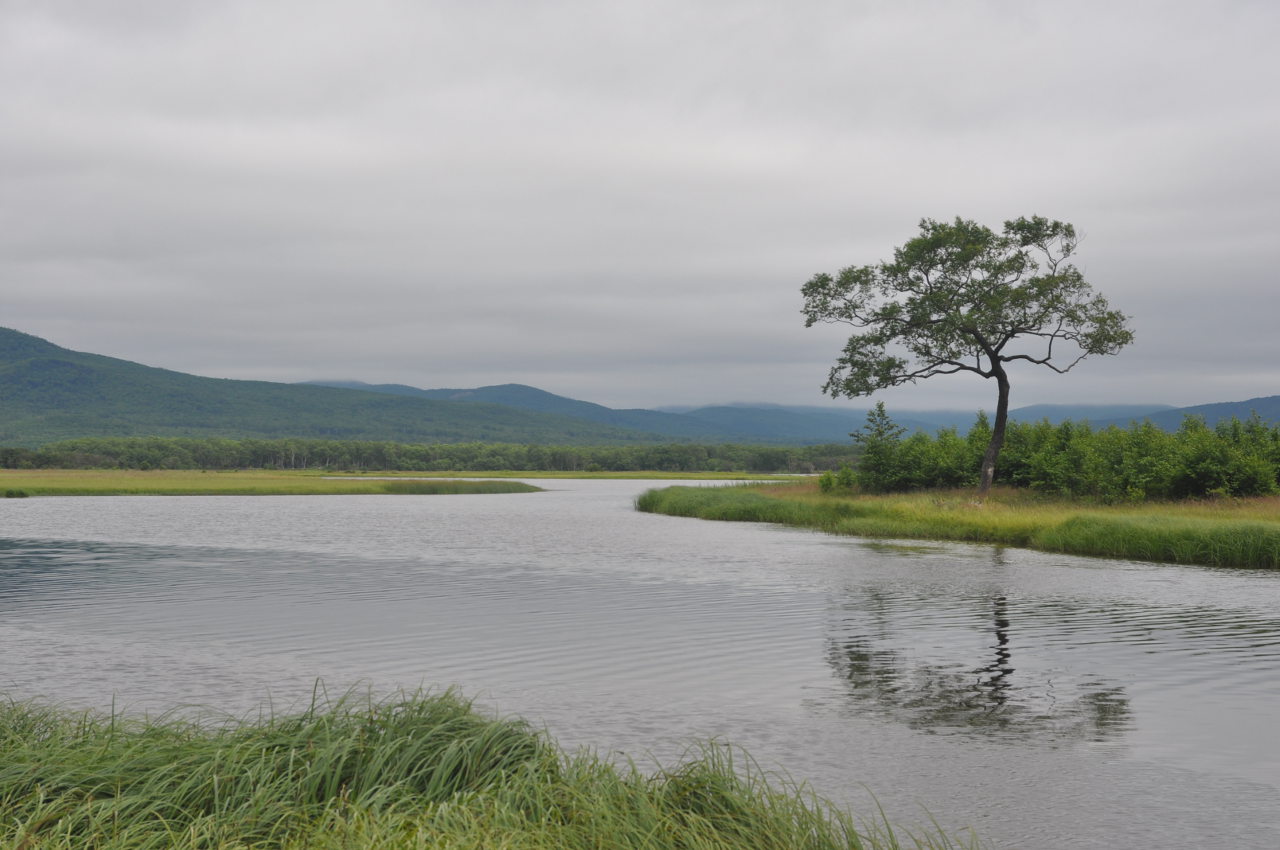 Терней, image of landscape/habitat.