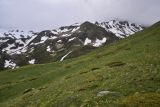 Image of landscape