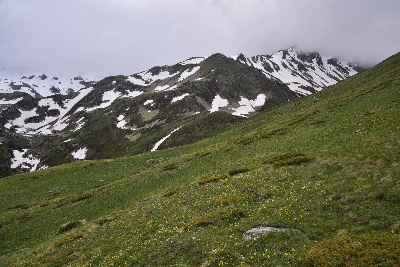 Окрестности озера Донгуз-Орун, image of landscape/habitat.