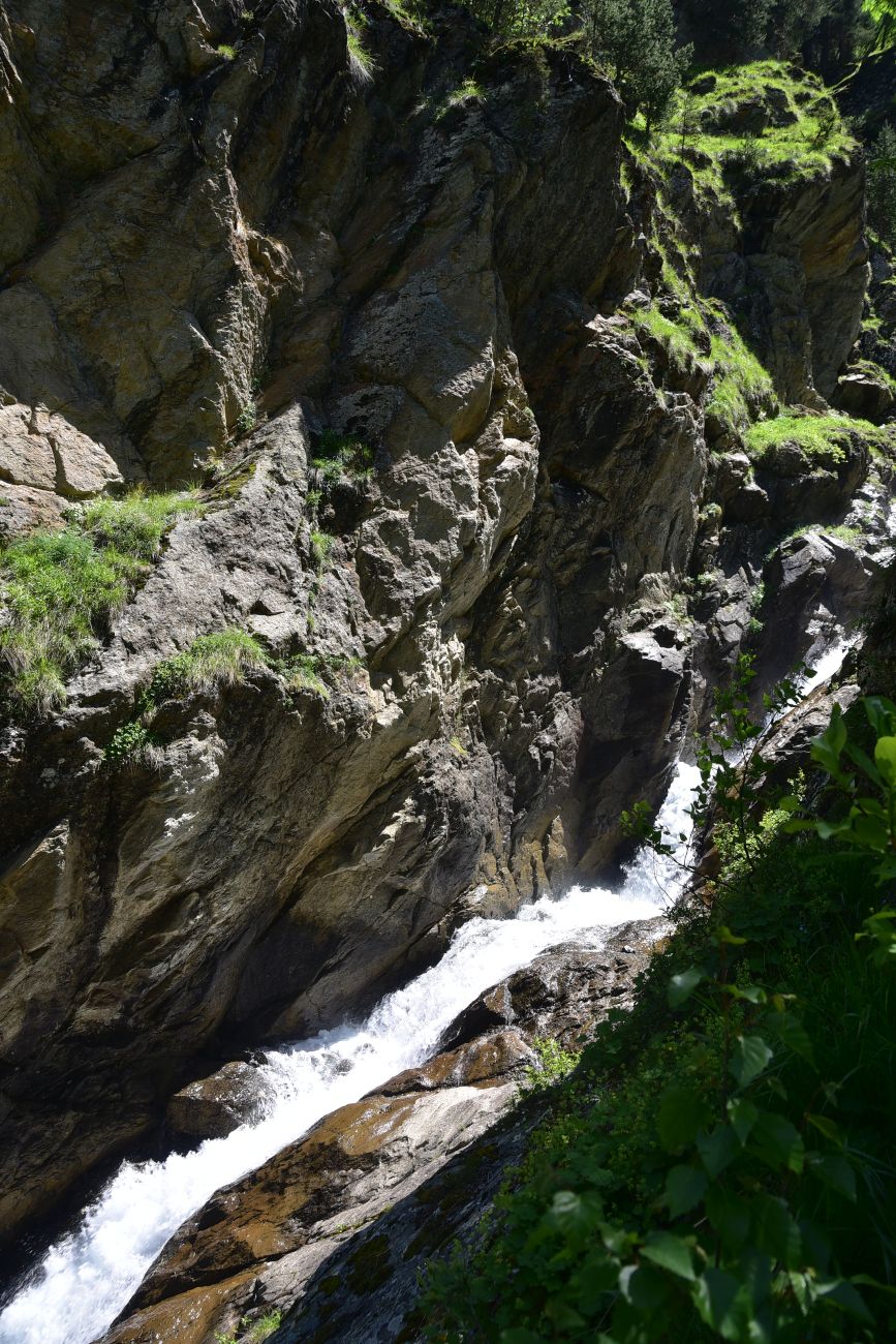 Ручей Когутайка, image of landscape/habitat.