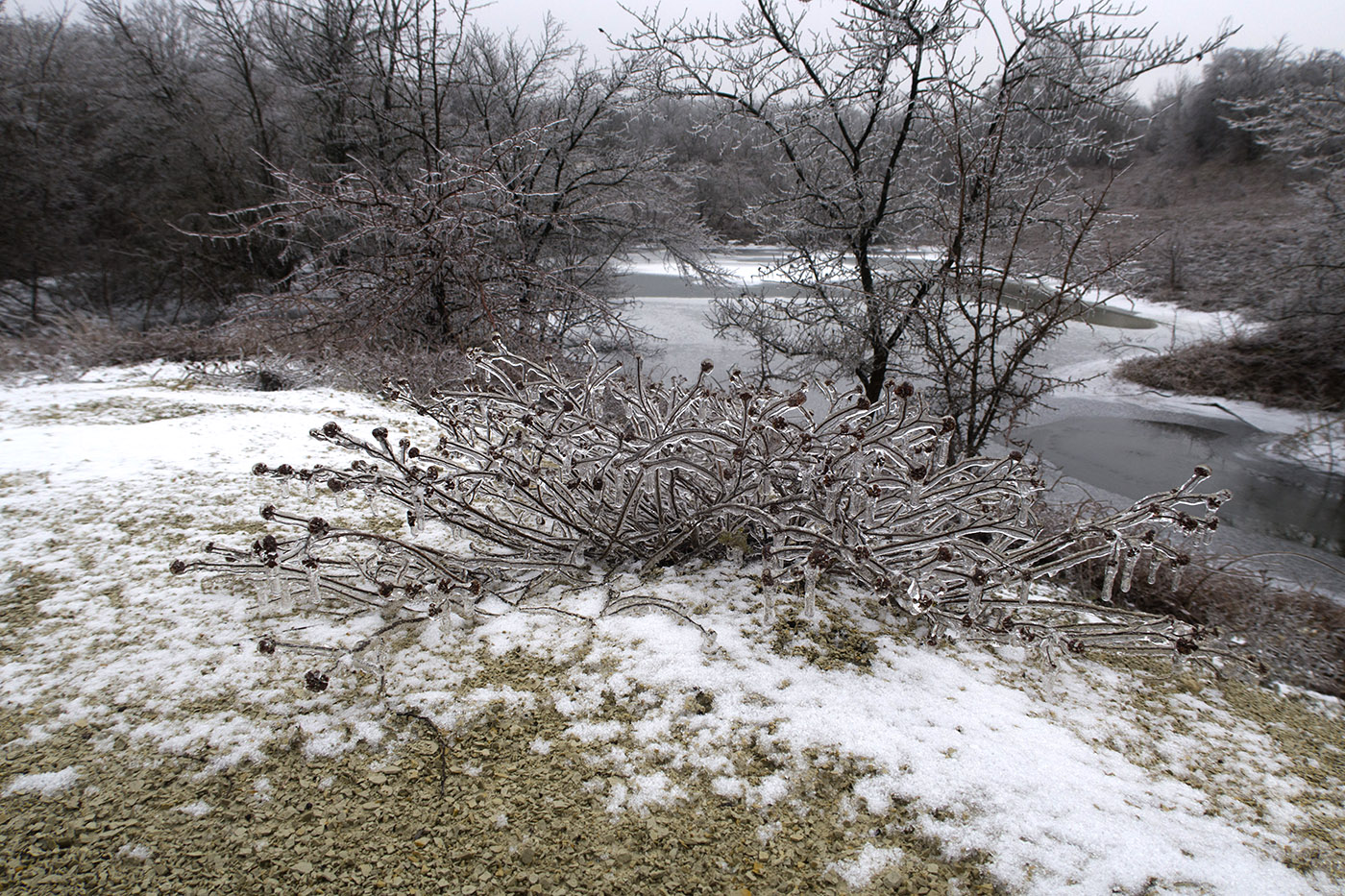 Карьер в Темрючках, image of landscape/habitat.