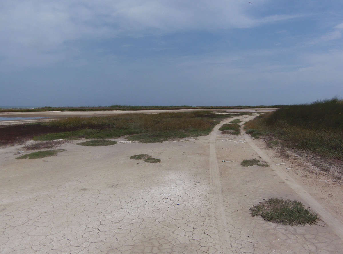 Полуостров Тюп-Джанкой, image of landscape/habitat.