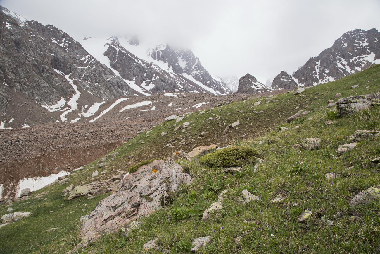 Перевал Талгар, изображение ландшафта.