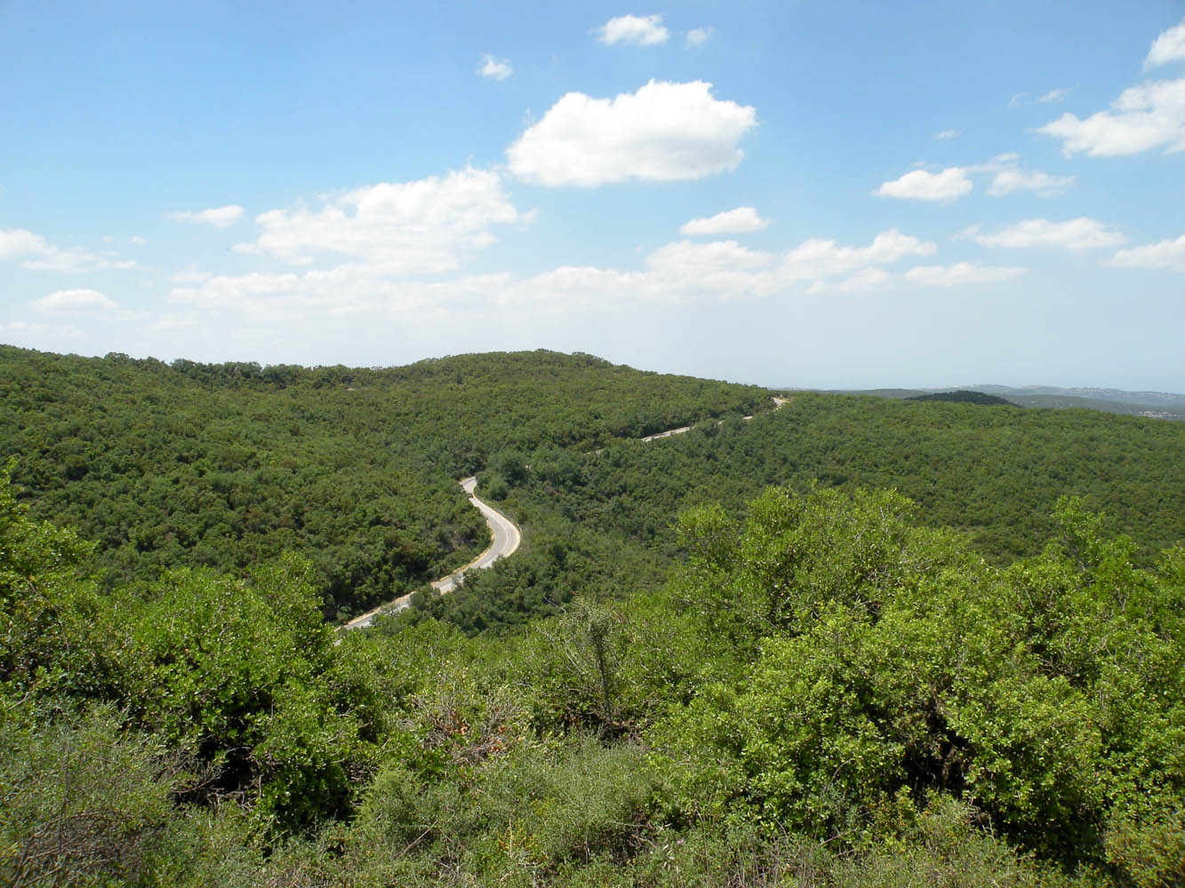 Мерон, image of landscape/habitat.