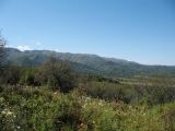 Image of landscape