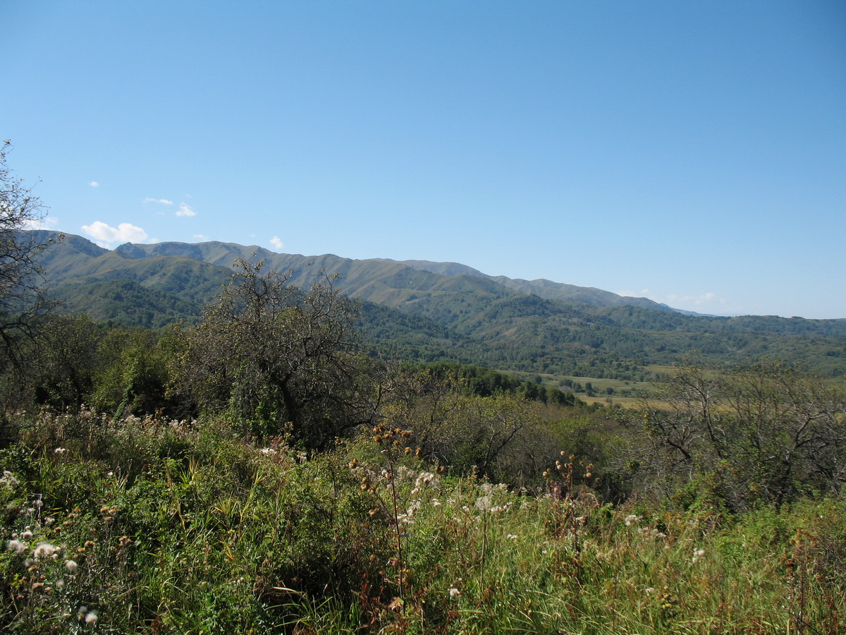 Чёрная Речка, image of landscape/habitat.