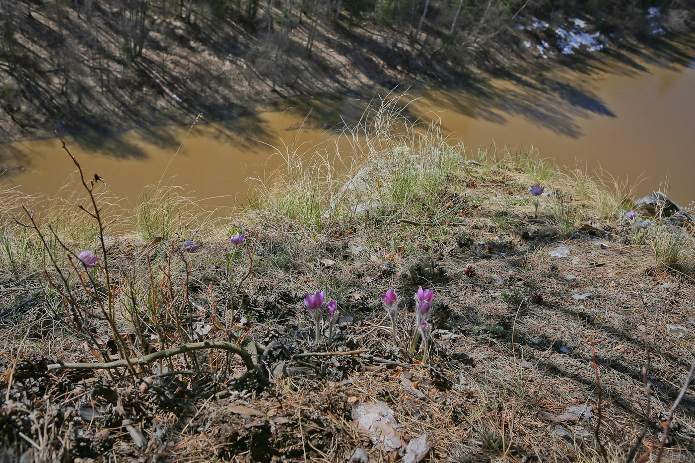 Камень Дужной и его окрестности, image of landscape/habitat.