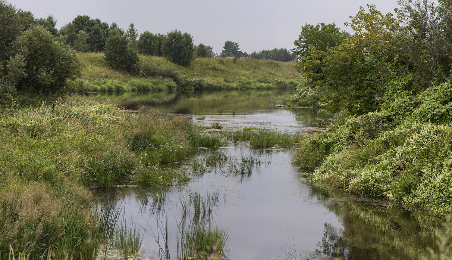 Деревня Волково, image of landscape/habitat.