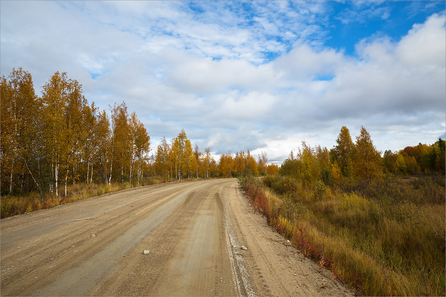 Сегозеро, image of landscape/habitat.