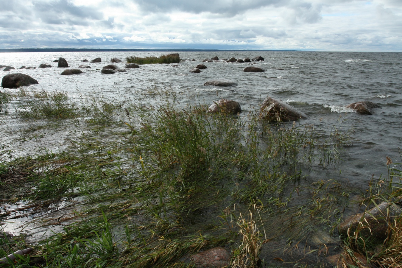 Мыс Дубовский, image of landscape/habitat.