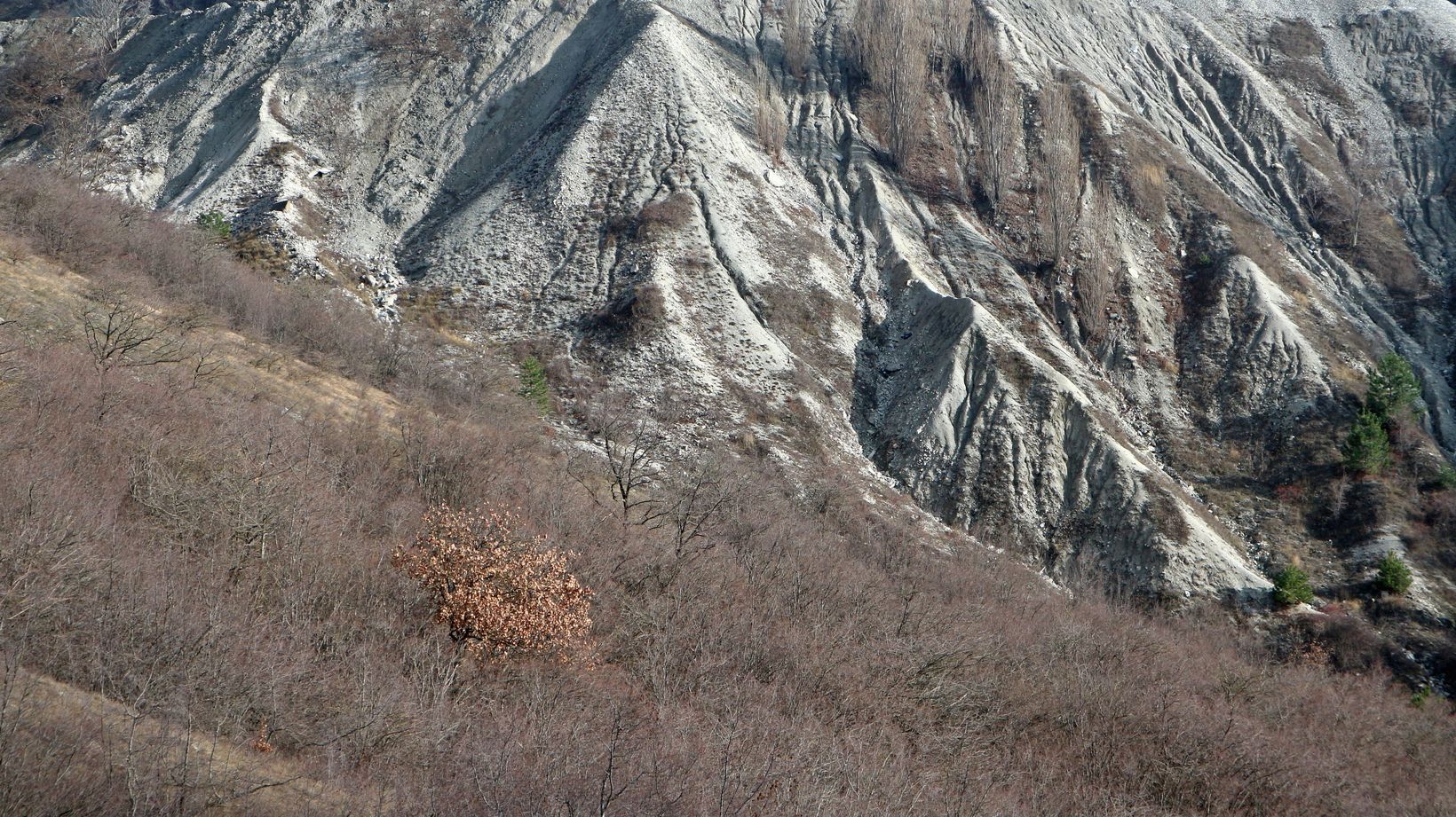 Дорога Гуленко, image of landscape/habitat.