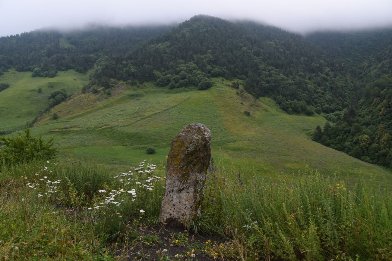 Урочище Лялах и окрестности, изображение ландшафта.