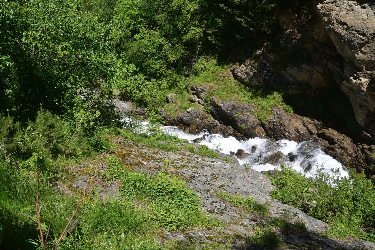 Ручей Когутайка, image of landscape/habitat.