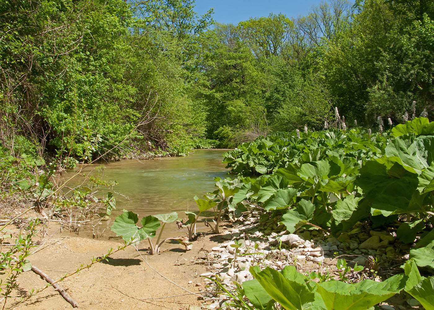 Гапоны, изображение ландшафта.