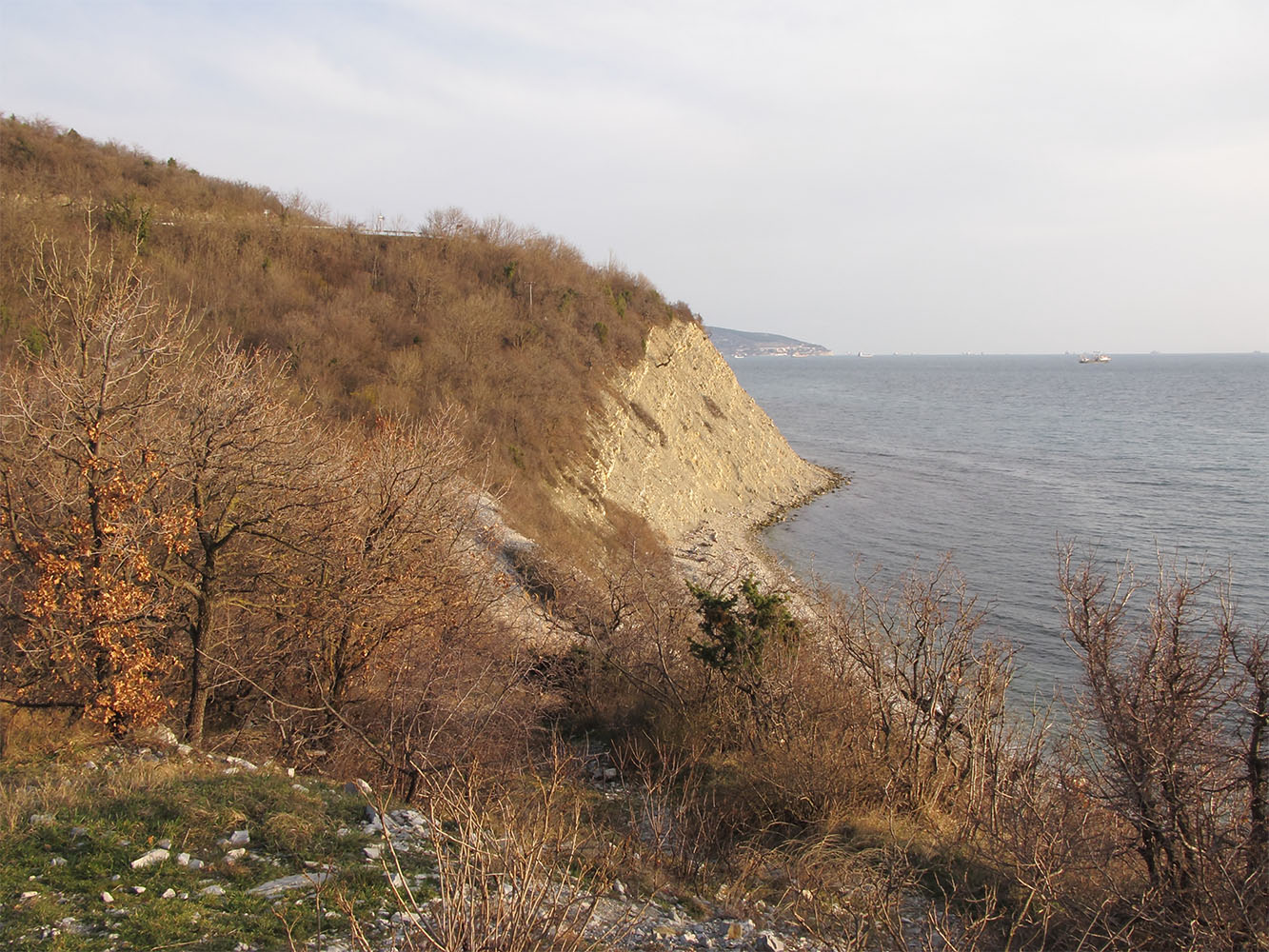 Барбарино, изображение ландшафта.