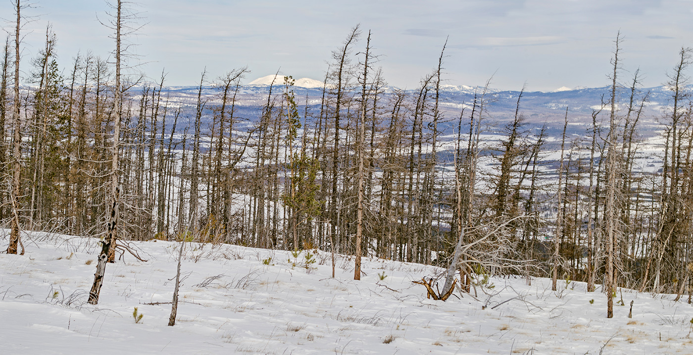 Окрестности села Шигаево, image of landscape/habitat.