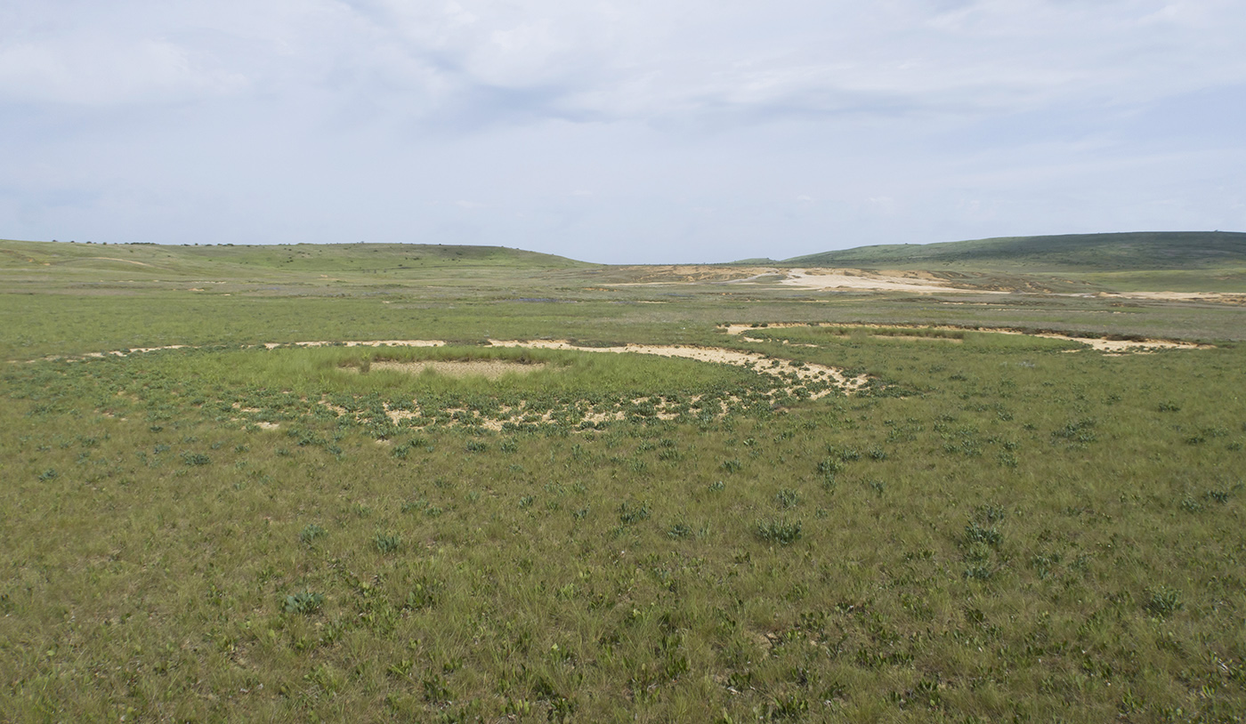 Булганакское сопочное поле, изображение ландшафта.