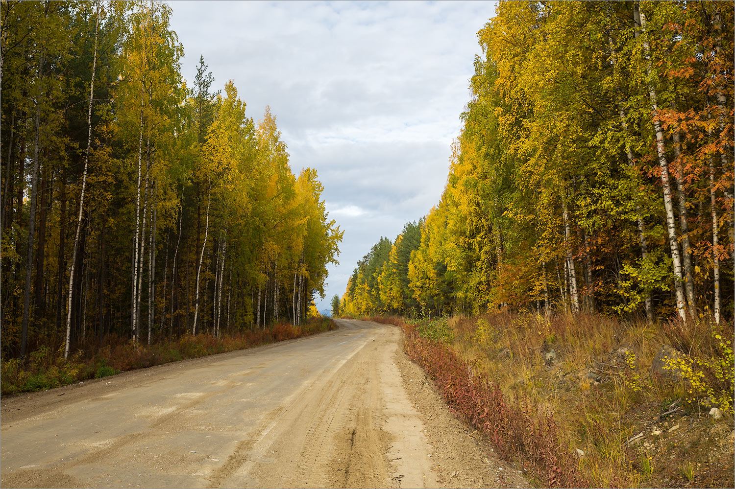 Сегозеро, image of landscape/habitat.