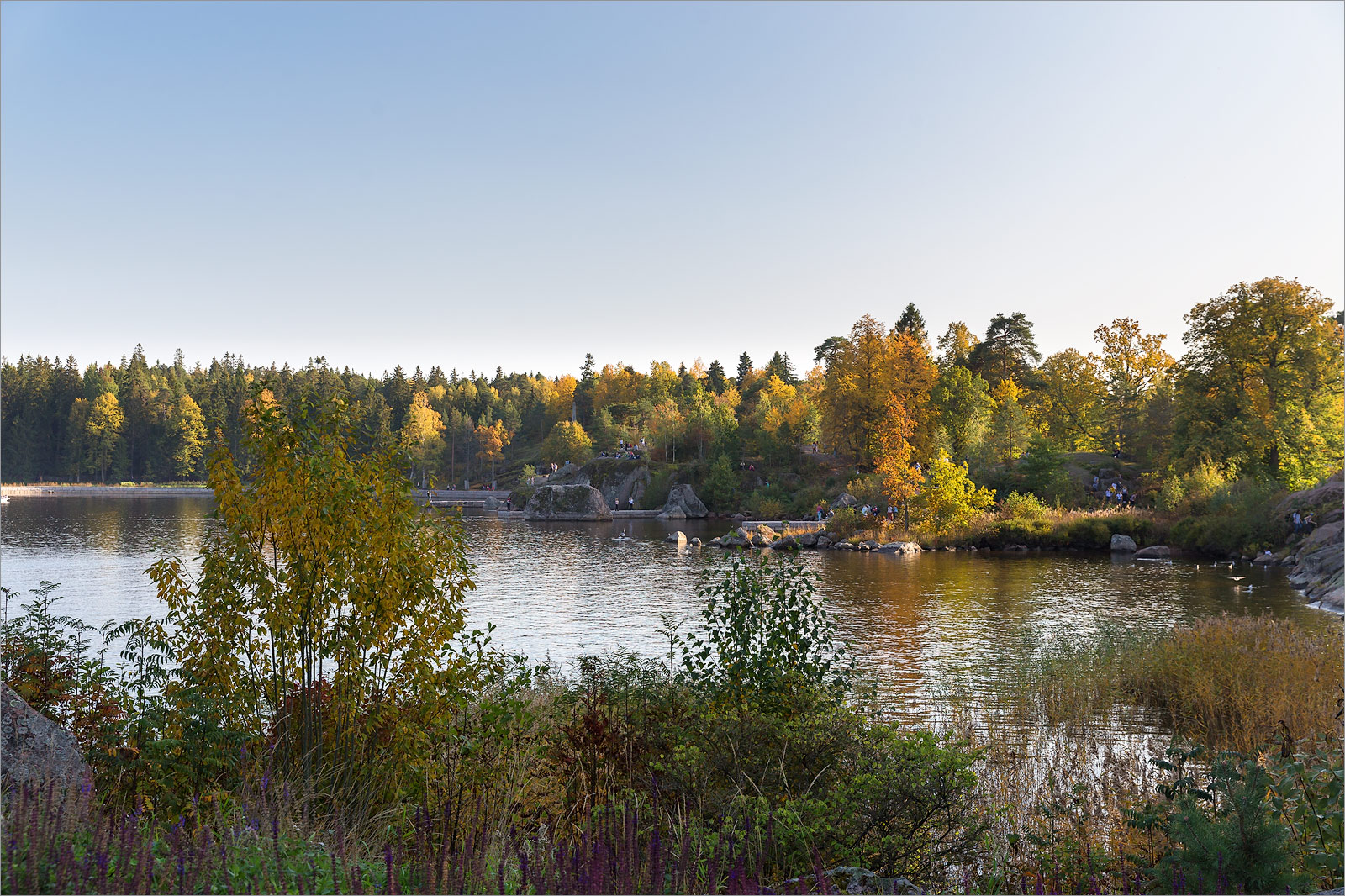 Парк Монрепо, image of landscape/habitat.