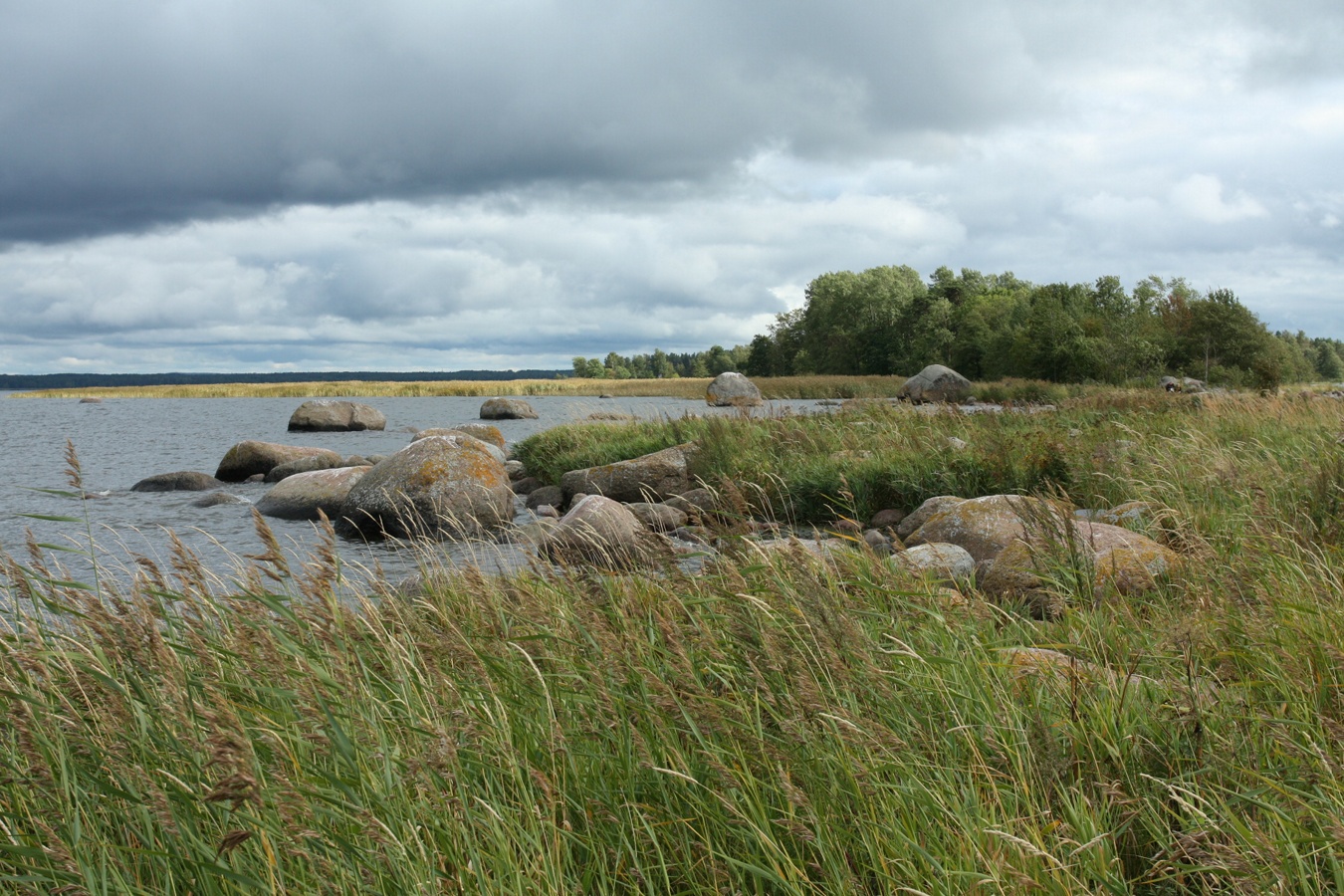 Мыс Дубовский, image of landscape/habitat.