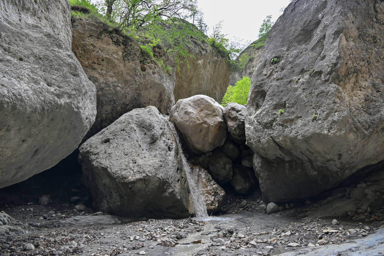 Карадахская теснина, image of landscape/habitat.