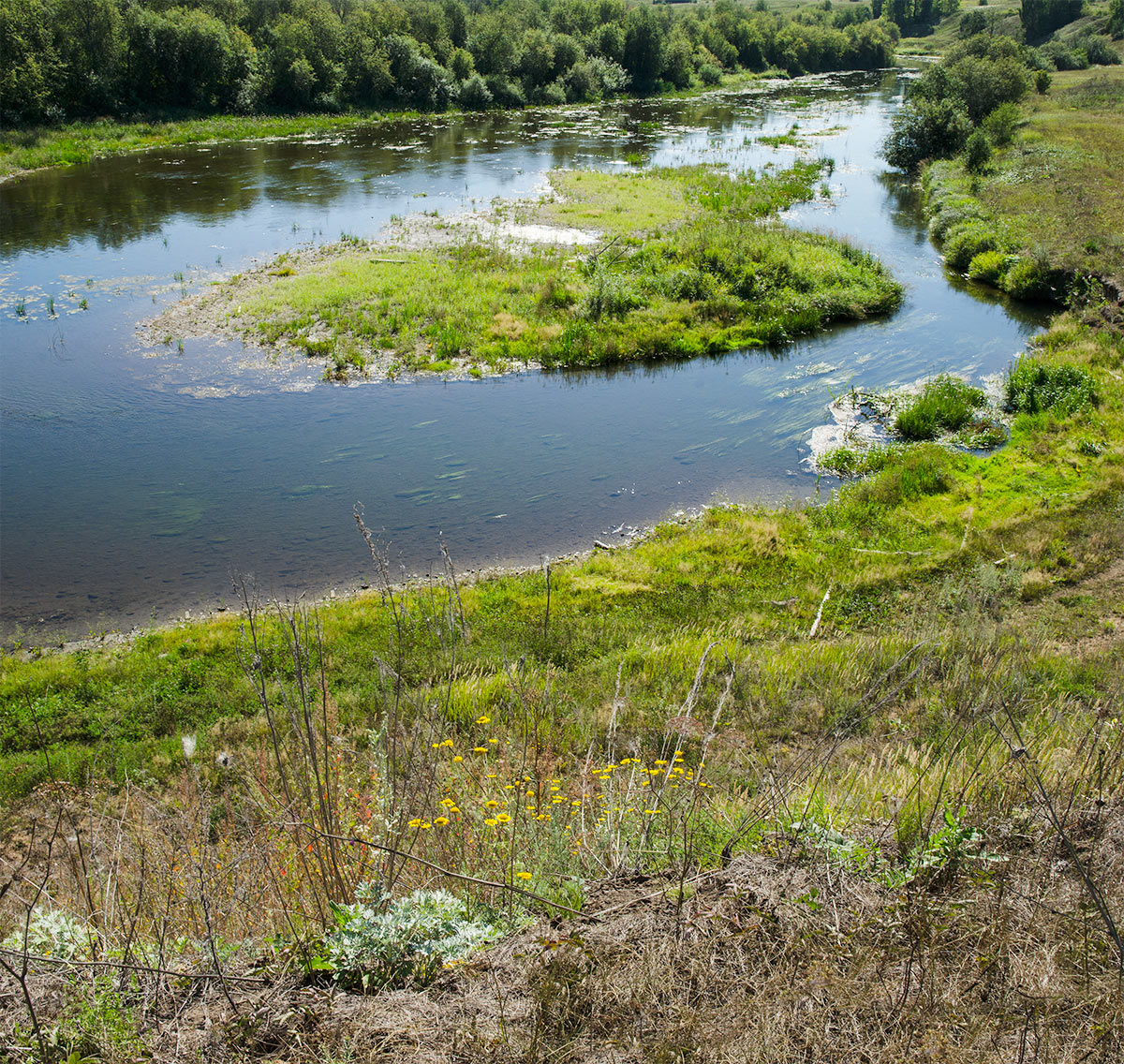 Окрестности деревни Карнаухово, image of landscape/habitat.