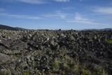 Image of landscape