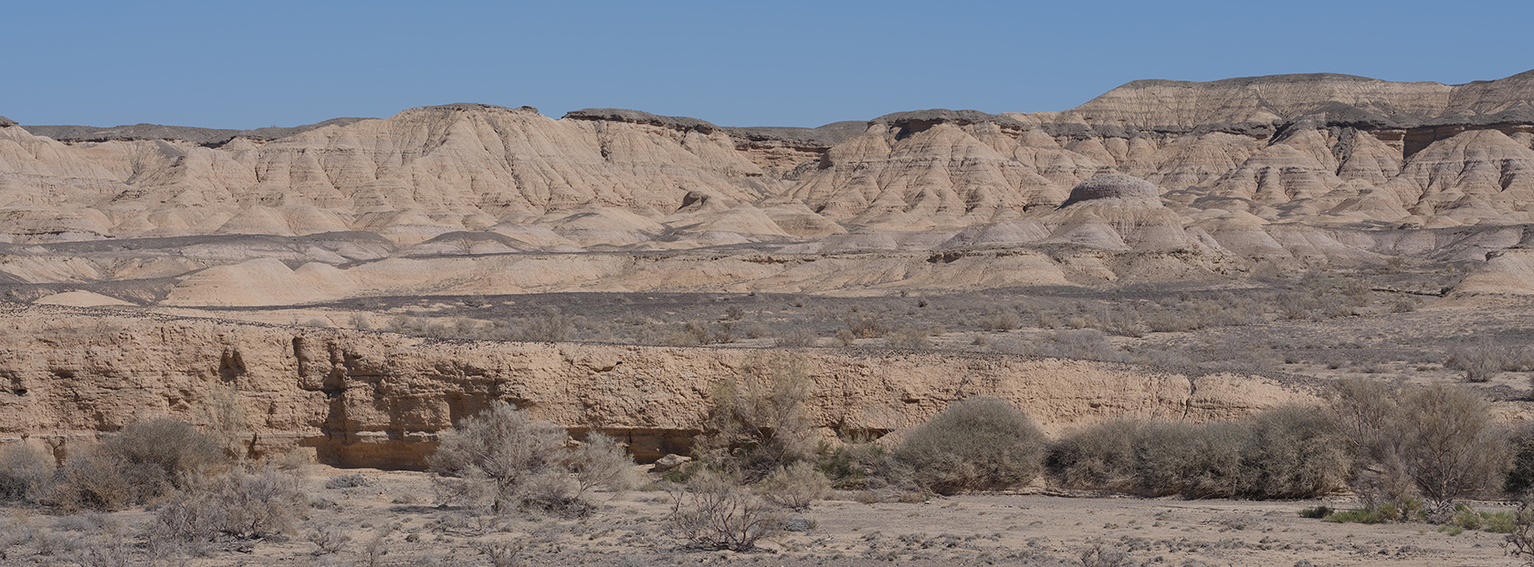 Сарымсакты, image of landscape/habitat.