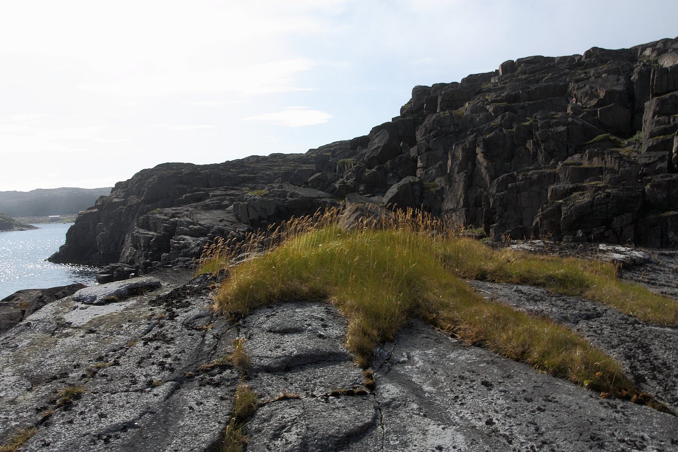 Дальние Зеленцы, image of landscape/habitat.