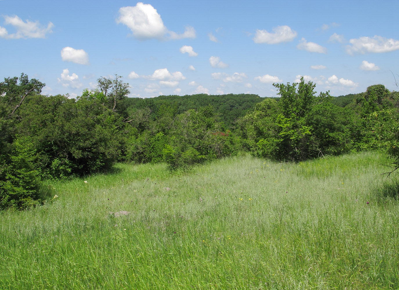 Окрестности Неберджаевской, image of landscape/habitat.