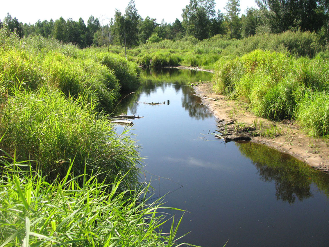 НП Мещёра, image of landscape/habitat.